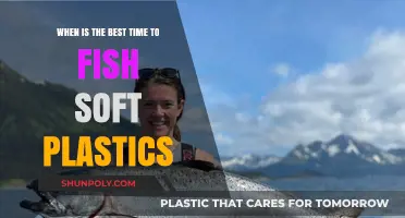 Prime Time for Soft Plastics: Unlocking the Best Fishing Hours