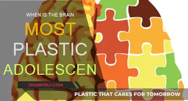 Adolescent Brain Plasticity: A Window of Opportunity