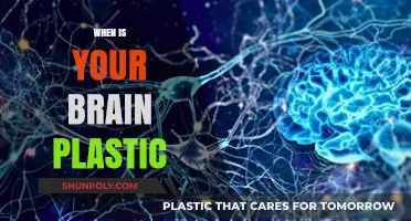 Unlocking Your Brain's Potential: The Power of Neuroplasticity