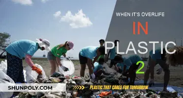 Plastic Pollution: Overlife and Our Future
