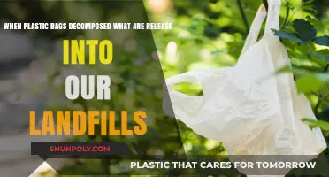 Decomposing Plastic Bags: Unseen Toxins Leaching into Our Landfills