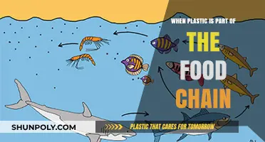Plastic Pollution: The Unseen Ingredient in Our Food Chain