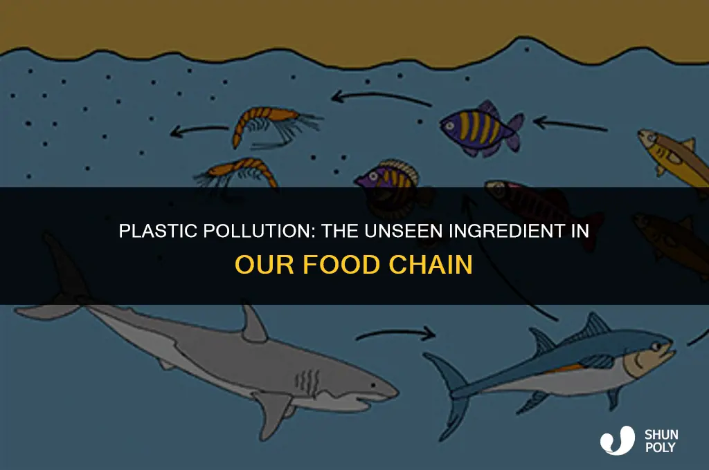 when plastic is part of the food chain