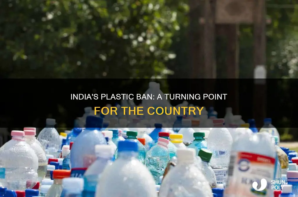 when plastic was banned in india