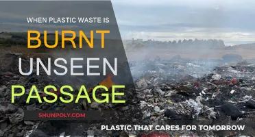 Plastic Burning: Unseen Dangers of Plastic Waste Incineration