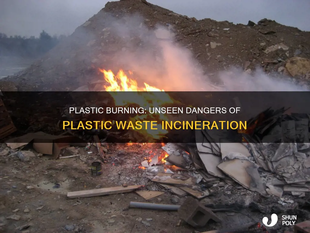 when plastic waste is burnt unseen passage