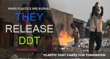Burning Plastics: Unveiling the DDT Release