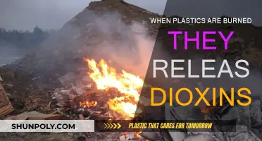 Burning Plastics: Dioxins Released into the Environment