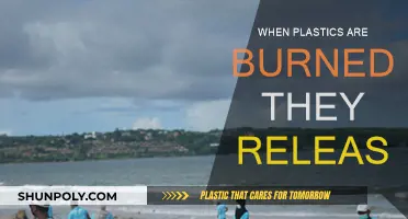 Burning Plastics: The Toxic Fumes Released