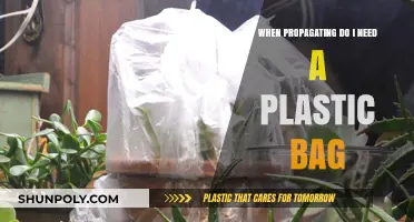 Do You Need a Plastic Bag for Successful Plant Propagation?