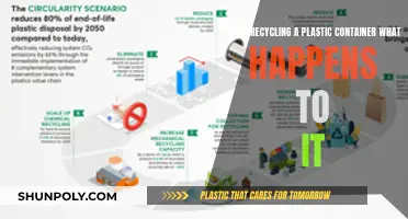 The Journey of a Recycled Plastic Container