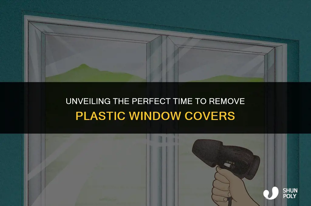 when should i take the plastic off my windows