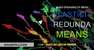 Brain Plasticity: Redundancy and Neurological Resilience