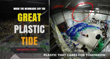 When Mermaids Weep: The Great Plastic Tide