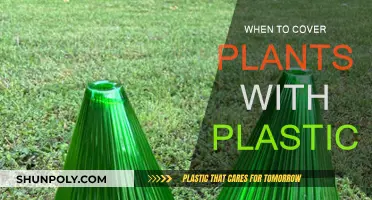 Protecting Plants: When to Cover with Plastic