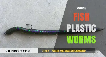 Mastering the Art of Fishing with Plastic Worms: A Comprehensive Guide