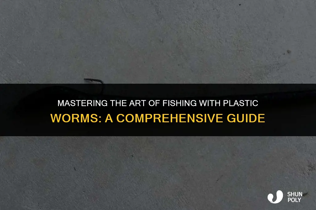 when to fish plastic worms