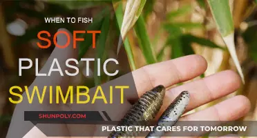 Spring Swimbaits: The Best Time to Fish Soft Plastics