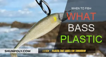 Bass Fishing: Choosing the Right Plastic Lures
