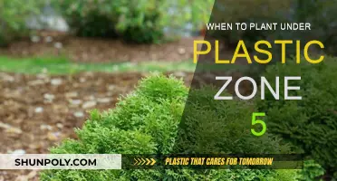 Planting Under Plastic in Zone 5: Best Timing Tips