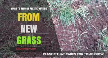 When to Remove Plastic Netting from New Grass: A Guide