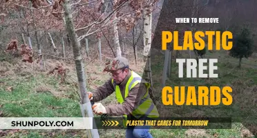 When to Remove Plastic Tree Guards: A Guide for Healthy Growth