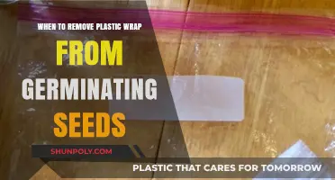 When to Remove Plastic Wrap from Germinating Seeds: A Guide