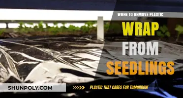 When to Remove Plastic Wrap from Seedlings: A Gardening Guide