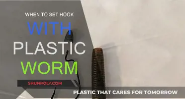 Setting the Hook: Plastic Worm Techniques for Success