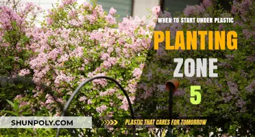 Early Gardening: Optimal Timing for Under-Plastic Planting in Zone 5