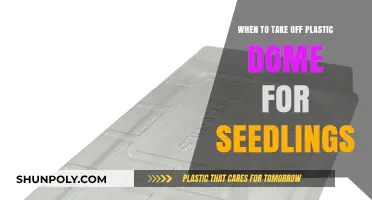 Seedling Care: The Optimal Time to Remove Plastic Domes