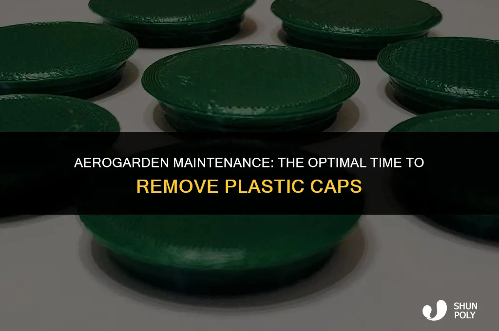 when to take plastic caps off aerogarden