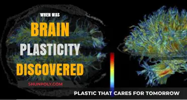 Unveiling the History of Brain Plasticity: A Scientific Journey
