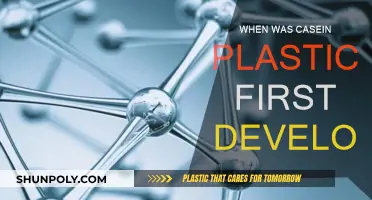 The Evolution of Casein Plastic: When Did It Begin?