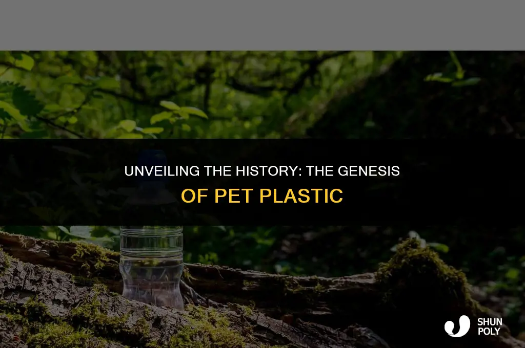 when was pet plastic invented