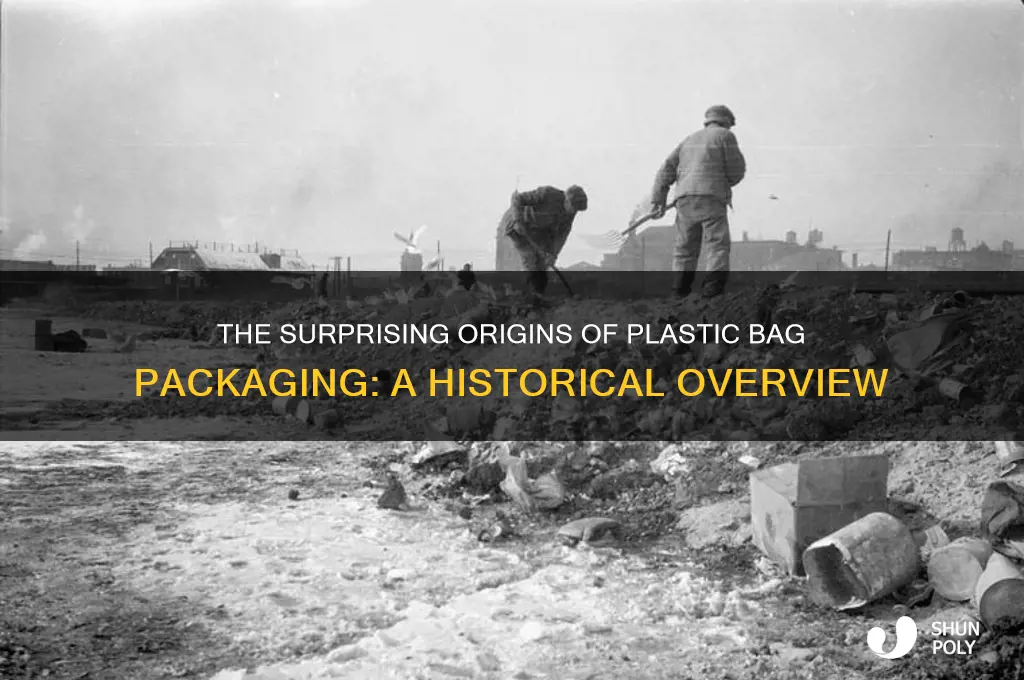 when was plastic bag packaging first used
