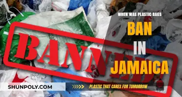 Jamaica's Plastic Bag Ban: A Timeline of Environmental Action