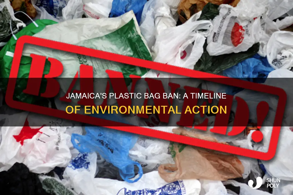 when was plastic bags ban in jamaica