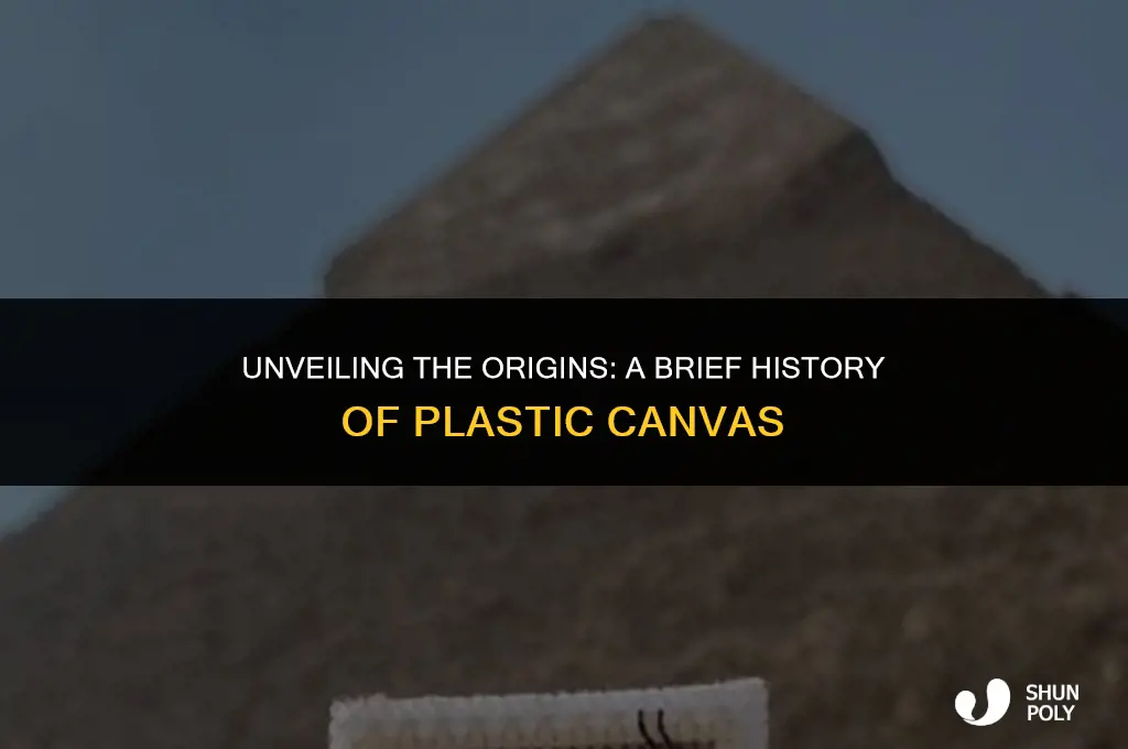 when was plastic canvas invented