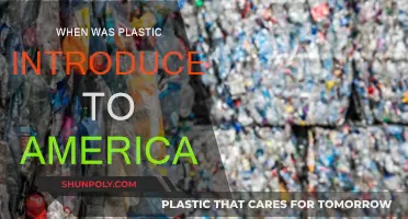 Plastic's Arrival in America: A Historical Perspective