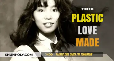 Plastic Love's Creation: Uncovering the Birth of Mariya Takeuchi's Iconic Hit