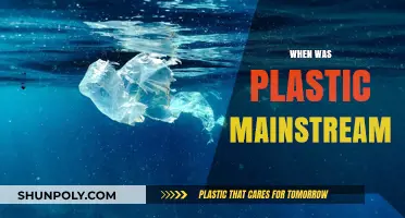 The Rise of Plastic: A Timeline of Its Mainstream Adoption
