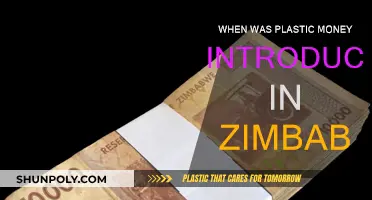 Plastic Money's Introduction in Zimbabwe: A Historical Overview