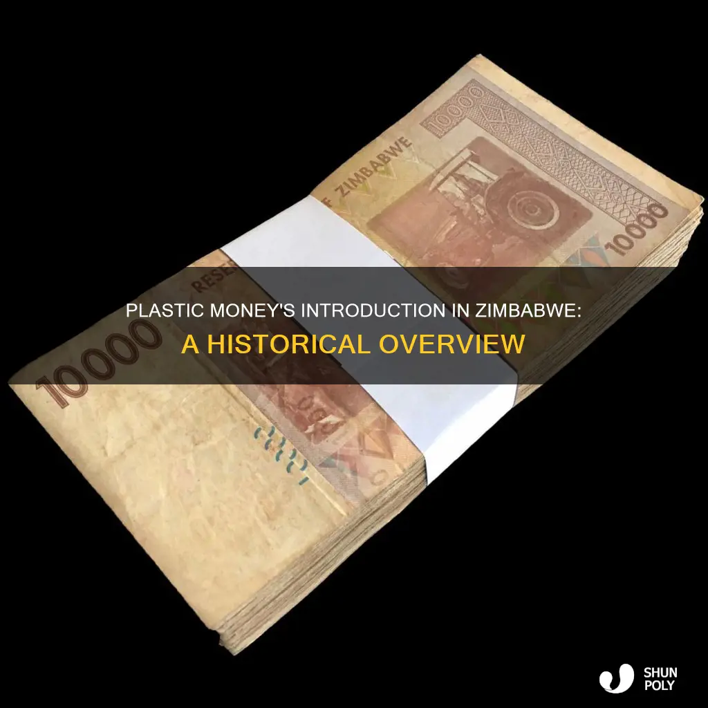 when was plastic money introduced in zimbabwe
