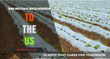 Revolution in Agriculture: The Arrival of Plastic Mulch in the US