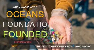 The Plastic Oceans Foundation: Its Founding and Mission