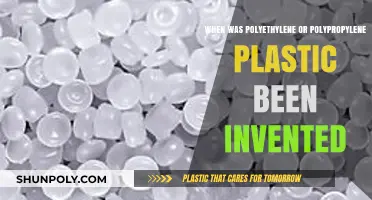 The Genesis of Polyethylene and Polypropylene Plastics: A Historical Overview