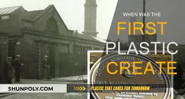 The First Plastic: A Historical Perspective