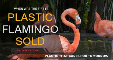 The Plastic Flamingo's Retail Debut: A Historical Perspective
