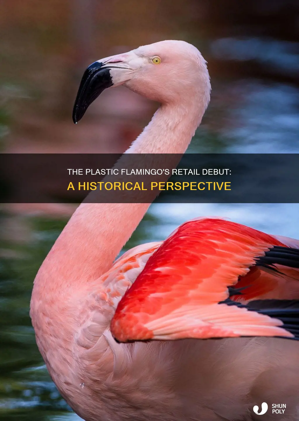 when was the first plastic flamingo sold